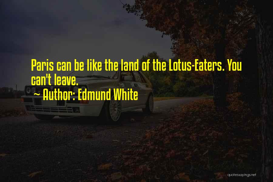 Edmund White Quotes 284499