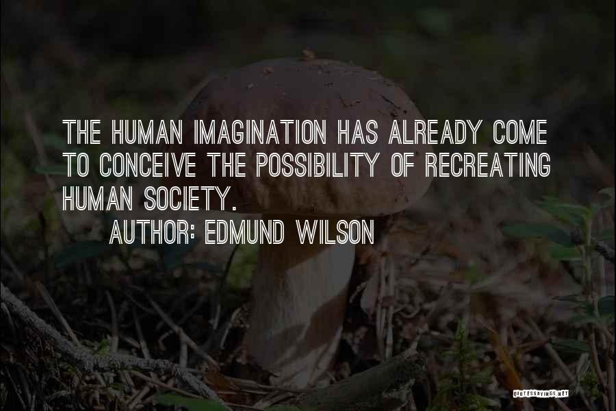 Edmund Wilson Quotes 133159