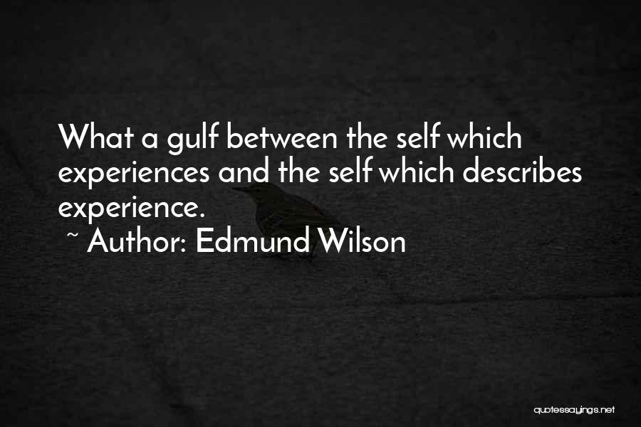 Edmund Wilson Quotes 2033231