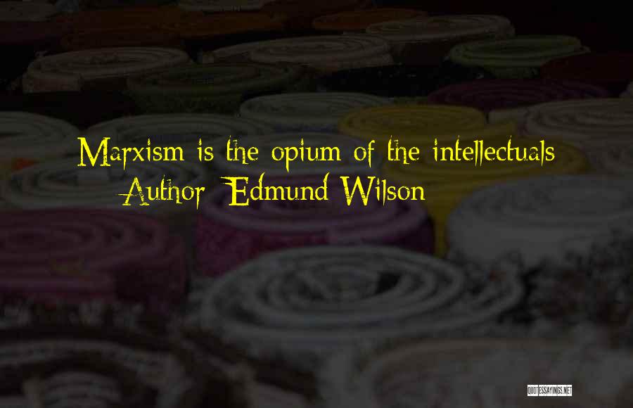 Edmund Wilson Quotes 779846