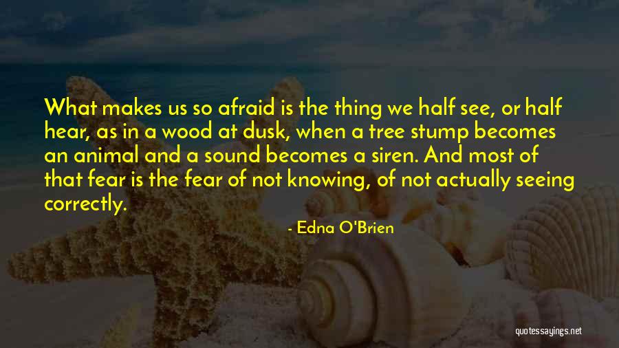 Edna O'Brien Quotes 1650344 Edna O'Brien Quotes 1650344