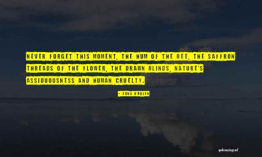 Edna O'Brien Quotes 2085262 Edna O'Brien Quotes 2085262