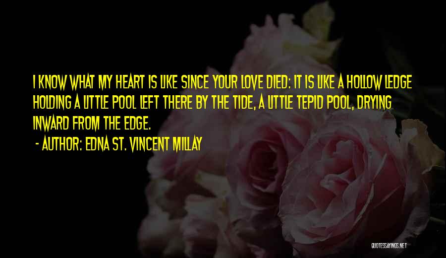 Edna St. Vincent Millay Quotes 168147