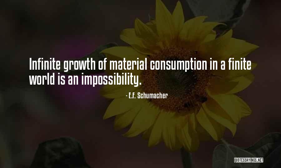 Ednan Turkiye Quotes By E.F. Schumacher Ednan Turkiye Quotes By E.F. Schumacher