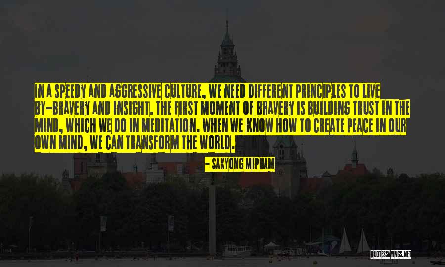 Educadora Quotes By Sakyong Mipham Educadora Quotes By Sakyong Mipham