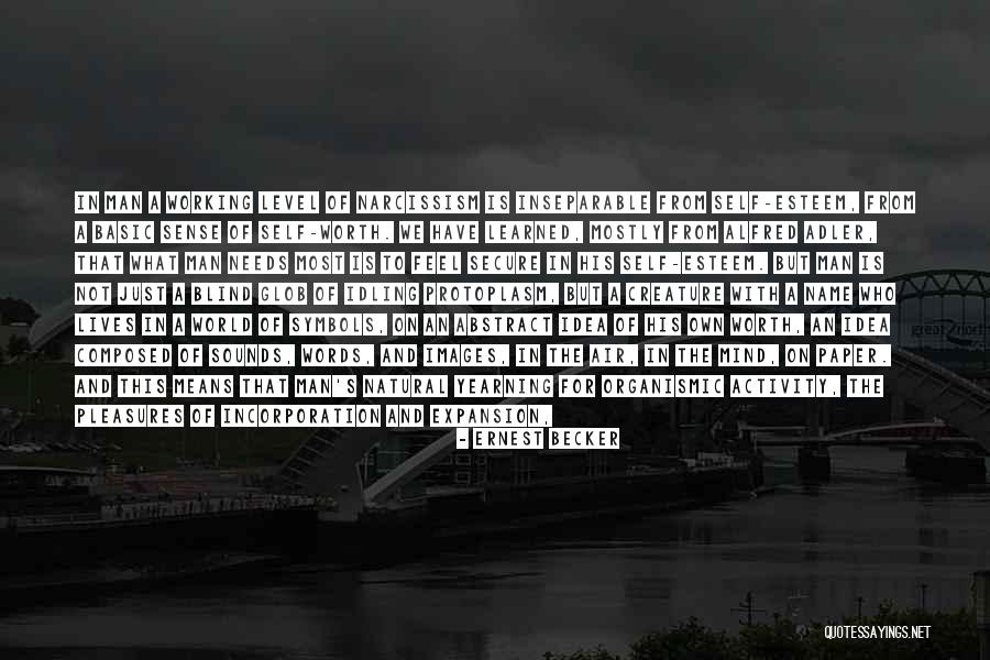 Educaion Quotes By Ernest Becker Educaion Quotes By Ernest Becker