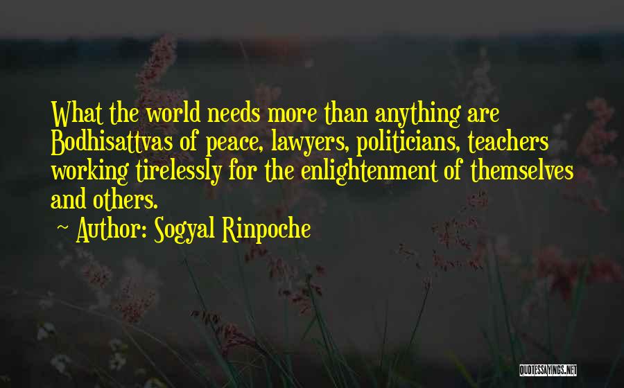 Educate A Woman Quotes By Sogyal Rinpoche