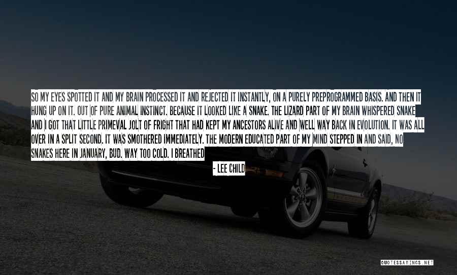 Educated Mind Quotes By Lee Child Educated Mind Quotes By Lee Child
