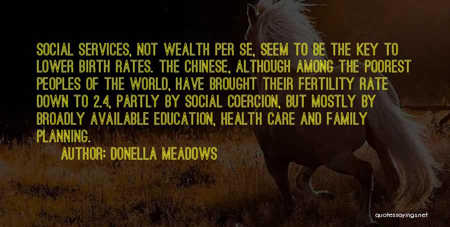 Education And Health Care Quotes By Donella Meadows