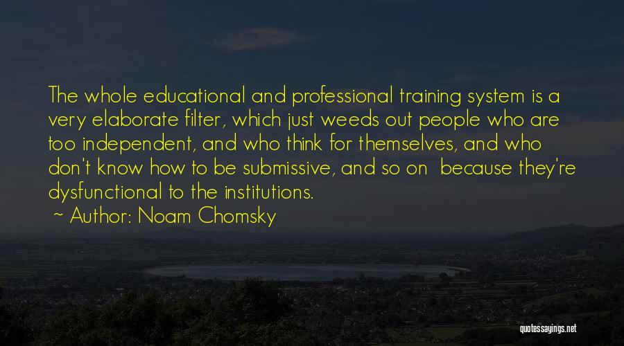 Education And Training Quotes By Noam Chomsky