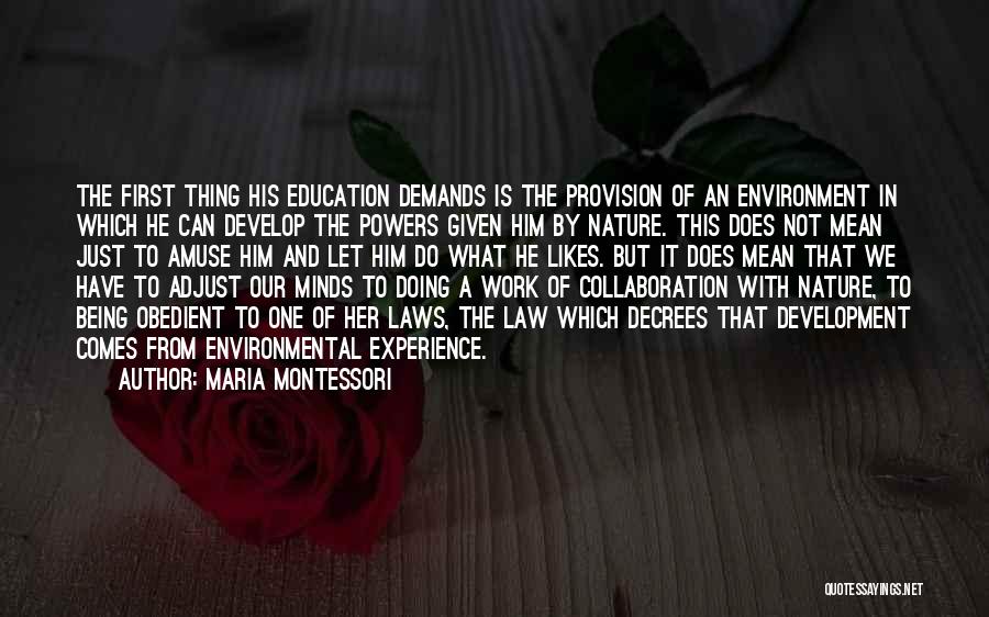 Education And Work Experience Quotes By Maria Montessori