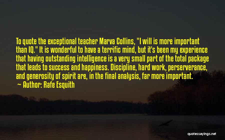 Education And Work Experience Quotes By Rafe Esquith