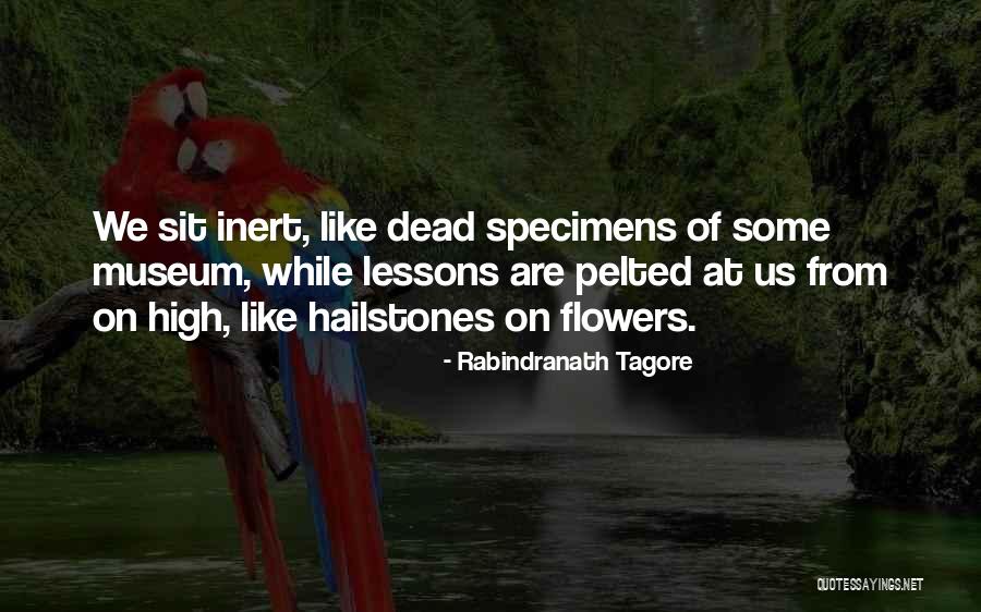 Education By Rabindranath Tagore Quotes By Rabindranath Tagore