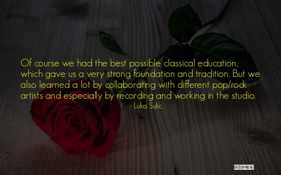 Education Foundation Quotes By Luka Sulic