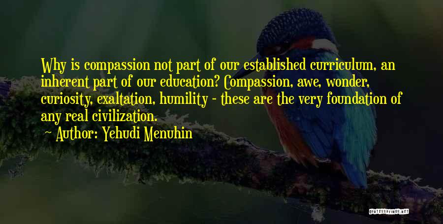 Education Foundation Quotes By Yehudi Menuhin