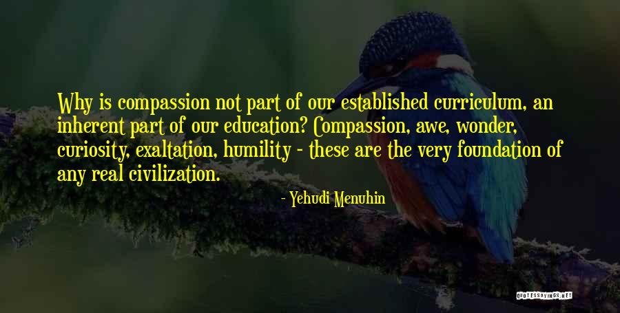 Education Foundation Quotes By Yehudi Menuhin