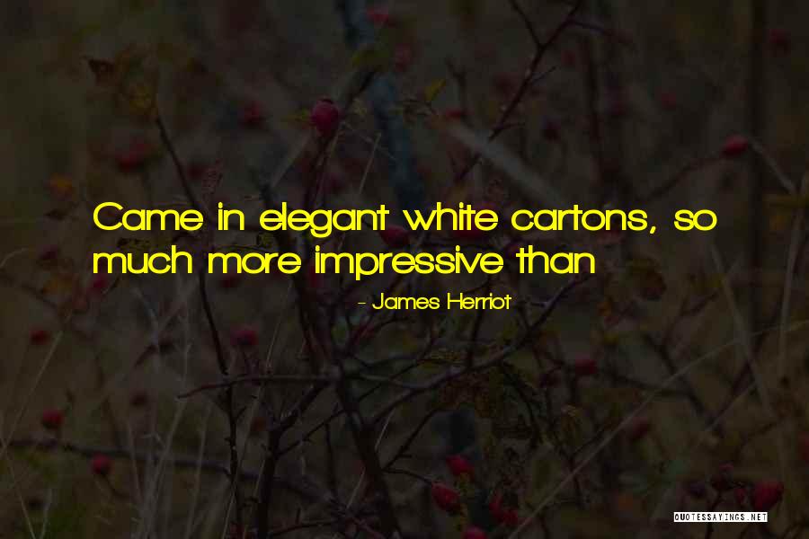 Education Greek Quotes By James Herriot Education Greek Quotes By James Herriot