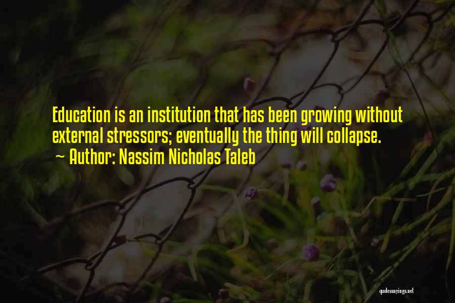 Education Institution Quotes By Nassim Nicholas Taleb