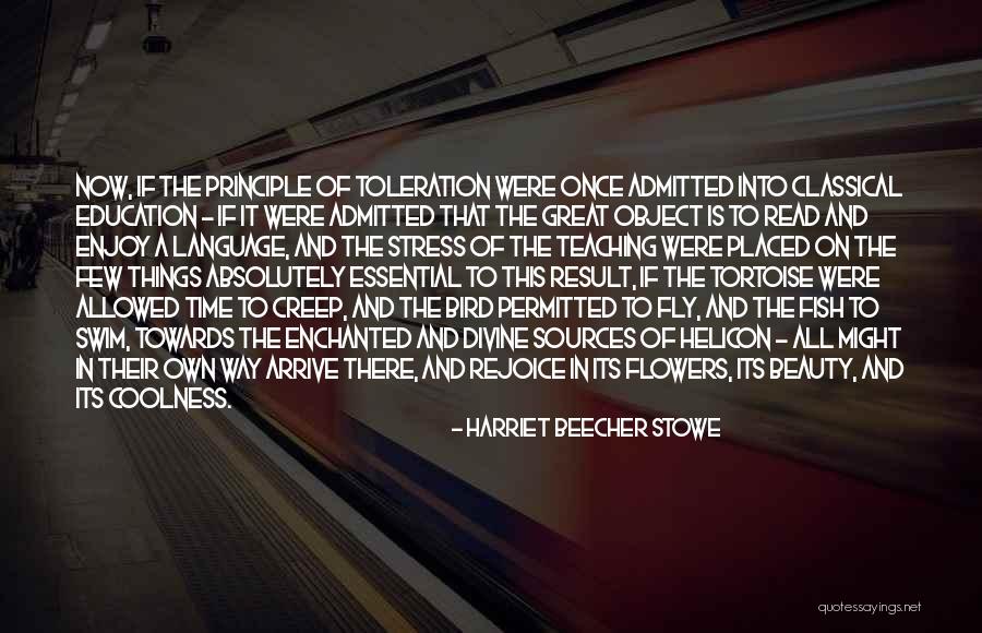 Education Is Essential Quotes By Harriet Beecher Stowe Education Is Essential Quotes By Harriet Beecher Stowe