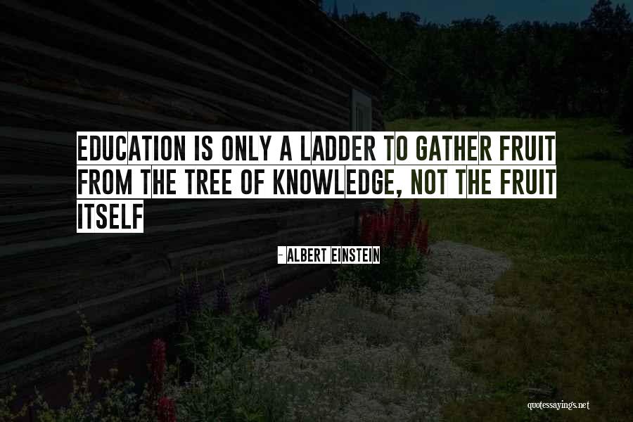 Education Ladder Quotes By Albert Einstein Education Ladder Quotes By Albert Einstein