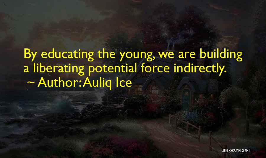 Education Reform Quotes By Auliq Ice