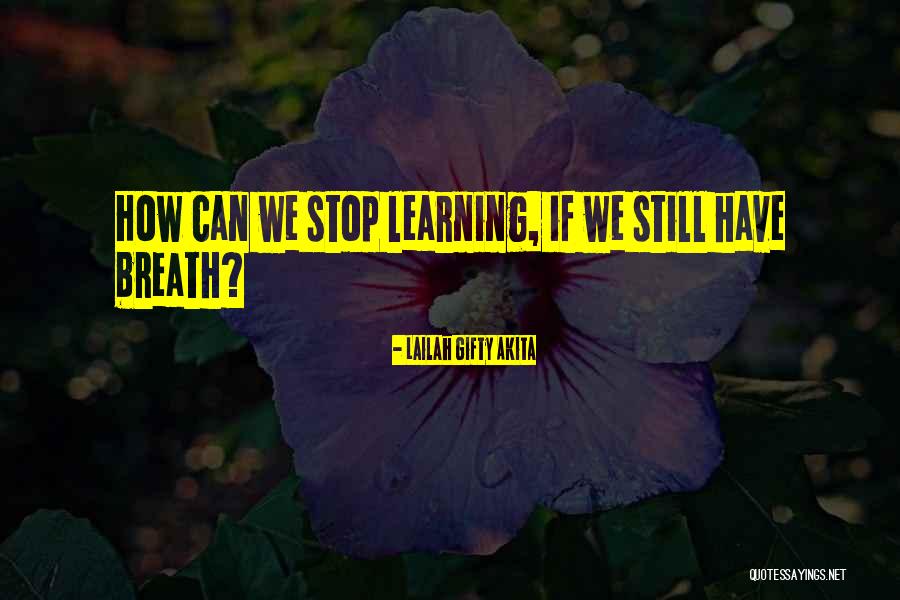 Education Should Not Stop Quotes By Lailah Gifty Akita Education Should Not Stop Quotes By Lailah Gifty Akita