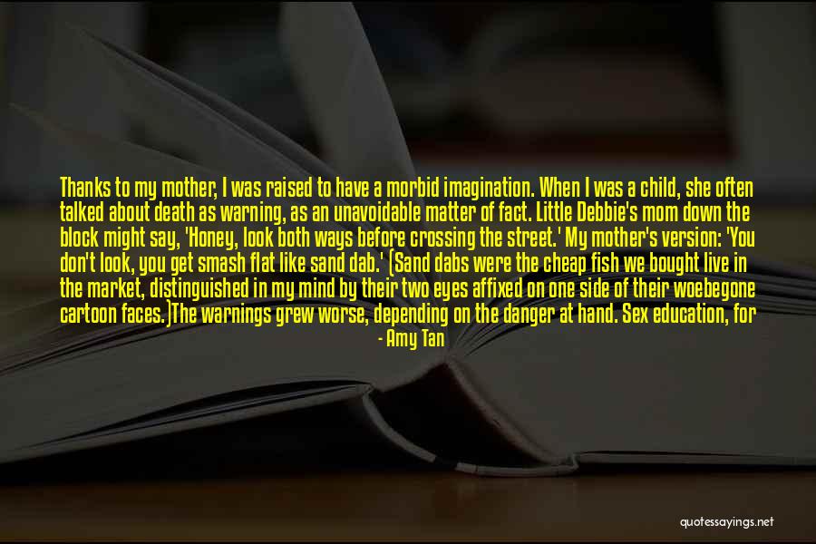 Education Version Quotes By Amy Tan