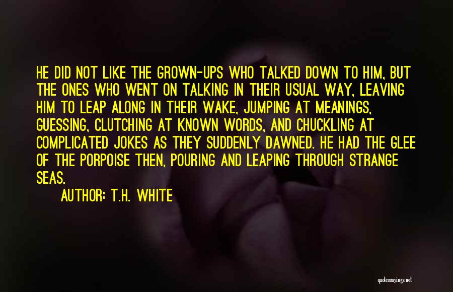 Education With Meanings Quotes By T.H. White