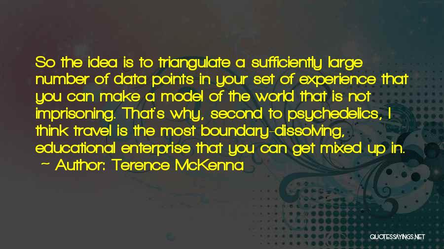 Educational Data Quotes By Terence McKenna