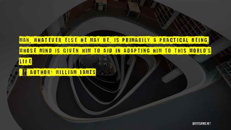 Educational Philosophy Quotes By William James