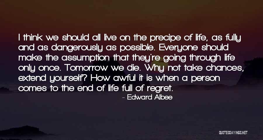Edward Albee Quotes 1174167 Edward Albee Quotes 1174167