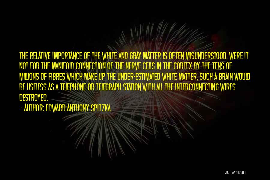 Edward Anthony Spitzka Quotes 1511076