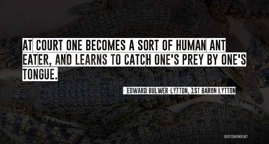 Edward Bulwer-Lytton, 1st Baron Lytton Quotes 1852270