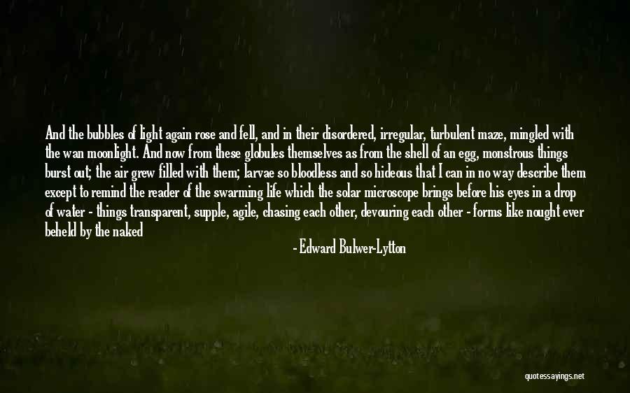 Edward Bulwer-Lytton Quotes 1528255