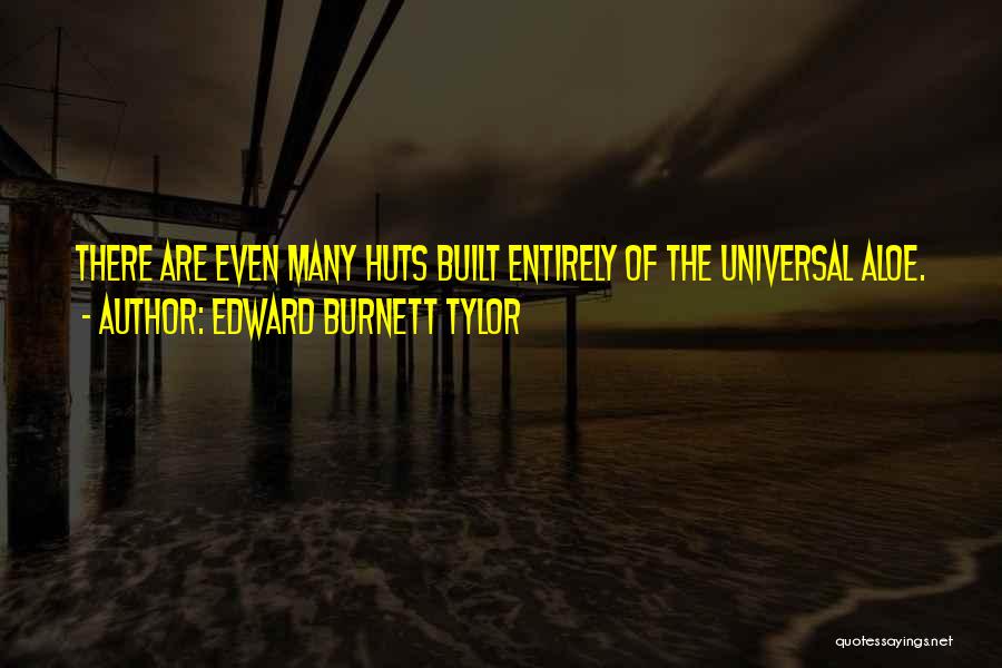 Edward Burnett Tylor Quotes 1086050