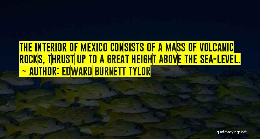 Edward Burnett Tylor Quotes 1179144