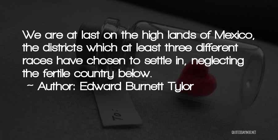 Edward Burnett Tylor Quotes 1866551