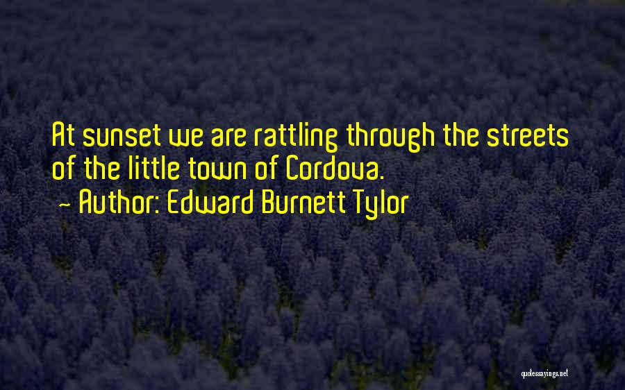 Edward Burnett Tylor Quotes 2114396