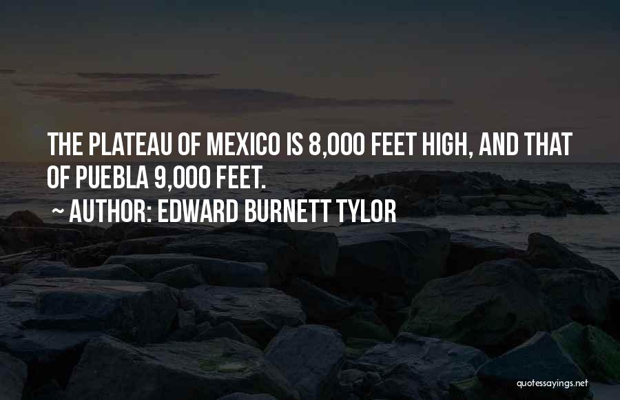 Edward Burnett Tylor Quotes 247745