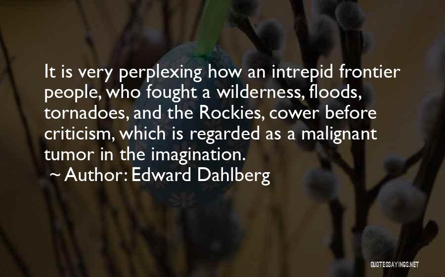 Edward Dahlberg Quotes 1583095