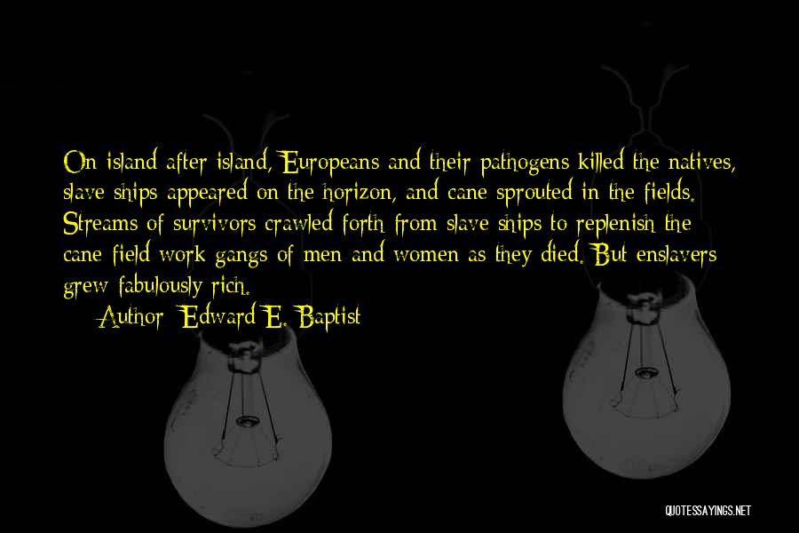 Edward E. Baptist Quotes 118329