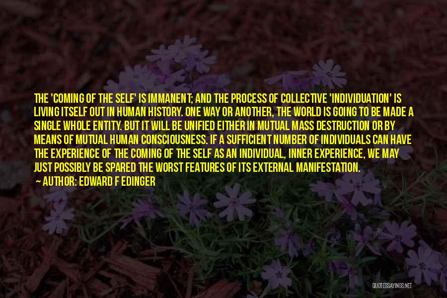 Edward F Edinger Quotes 444059