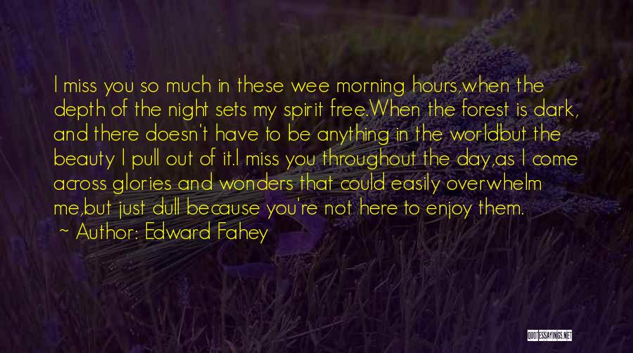 Edward Fahey Quotes 2233604