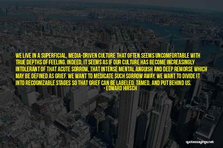 Edward Hirsch Quotes 529813 Edward Hirsch Quotes 529813