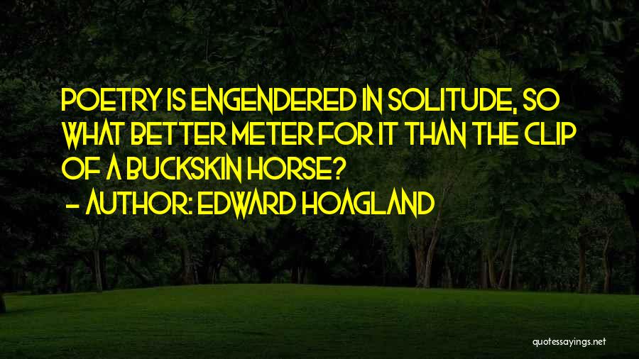 Edward Hoagland Quotes 2096264