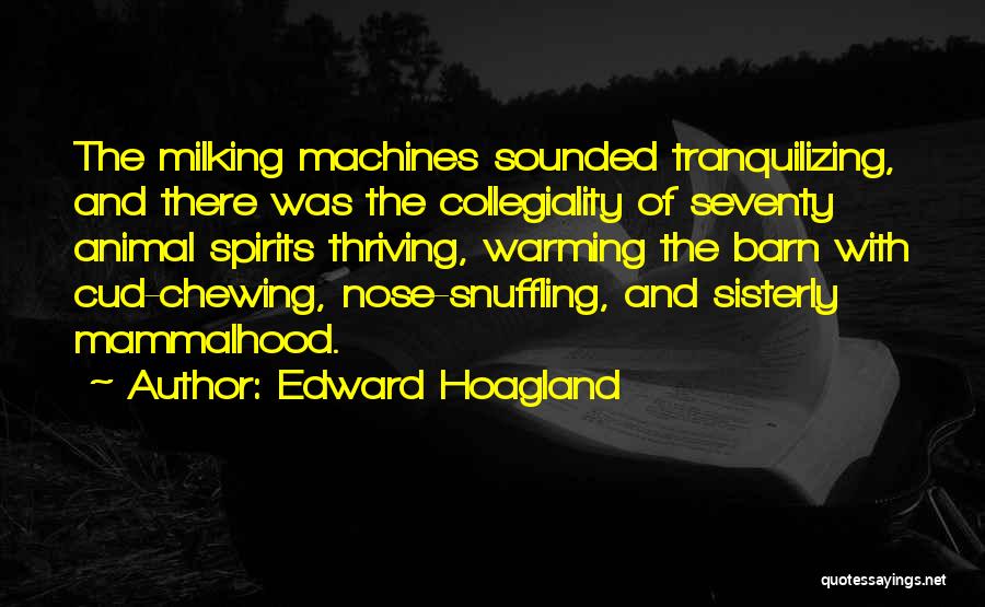 Edward Hoagland Quotes 633298