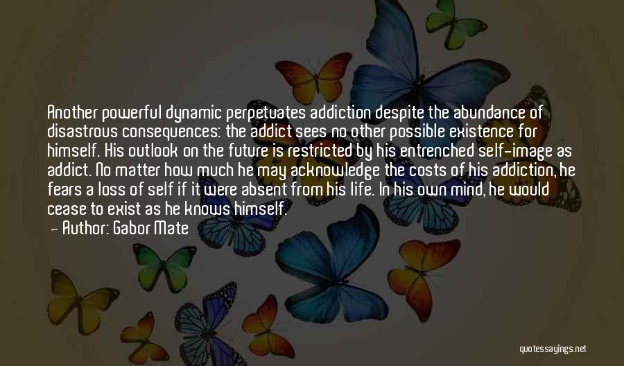 Edward Langley Quotes By Gabor Mate