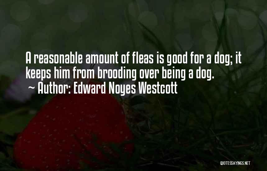 Edward Noyes Westcott Quotes 1392809