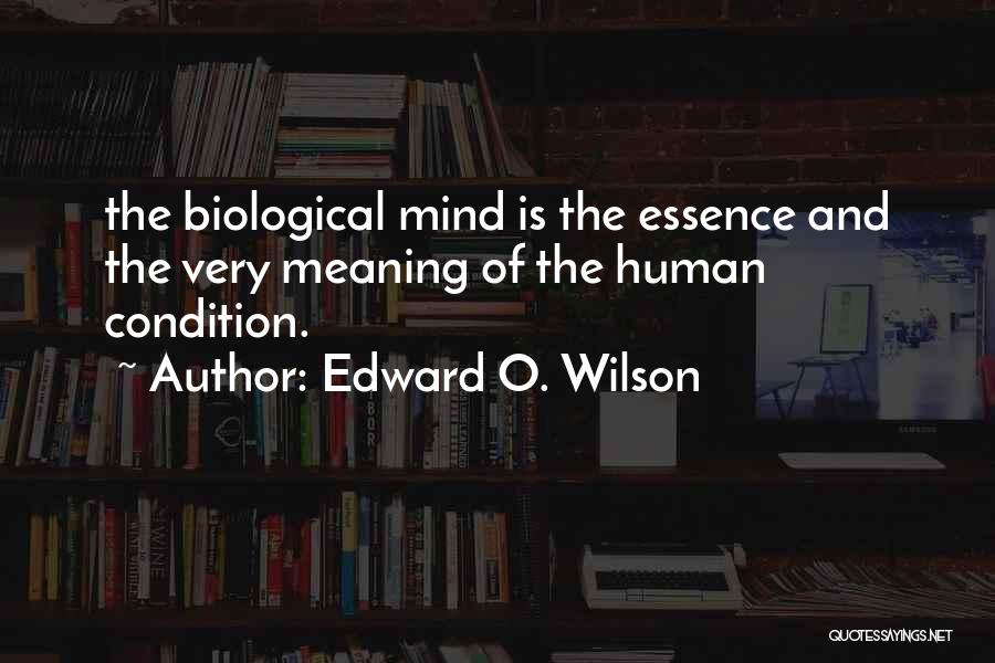 Edward O. Wilson Quotes 1861606