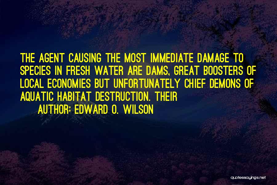 Edward O. Wilson Quotes 2051031